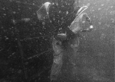 Dive a Mark V BW