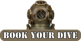 Book Your Mark V Dive
